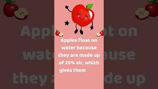 Why Do Apples Float?  #sciencemystery #apple #fruitfacts