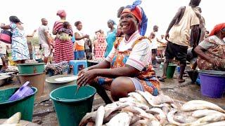 The Most Famous FISH MARKET in GHANA!! Eating Waakye + Elmina Castle Tour | Elmina, Ghana