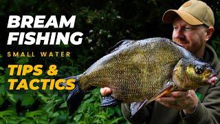 BREAM FISHING  - TIPS & TACTICS