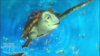 Turtle Cruising  | Finding Nemo | Disney Channel UK