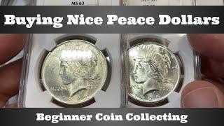 Beginner Coin Collecting - Buying Nice Peace Dollars