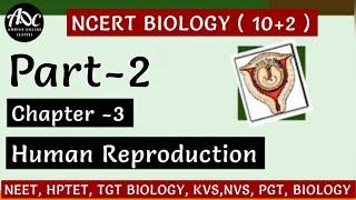 Part-4 Reproduction in Humans-2 || Biology IMPORTANT MCQ BIOLOGY | NCERT Biology MCQ | NEET BIOLOGY