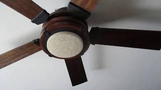 Ceiling Fans in my House, Summer 2019 | ECFE