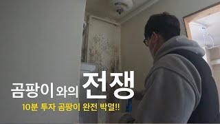 단열 작업전 “곰팡이제거” 이렇게 해보세요!