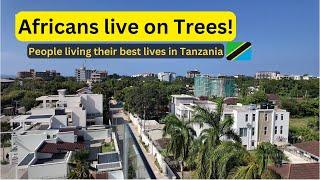 Africans Live on Trees!  Rich Masaki and Mbweni Dar es Salaam Tanzania