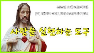 04029화 사랑을 실현하는 도구