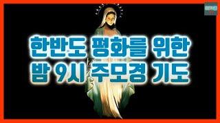 한반도 평화를 위한 밤 9시 주모경 기도 (배경음)