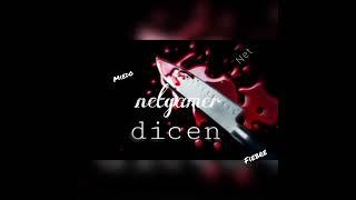 dicen (netgamer)