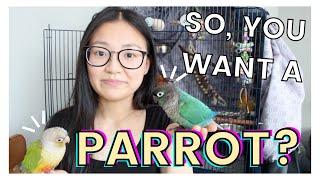 DO PARROTS MAKE GOOD PETS? | 7 Things to Consider Before Getting Your First Parrot