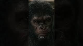 𝐜𝐚𝐞𝐬𝐞𝐫 𝐕𝐒 𝐊𝐨𝐛𝐚 #apes #movies  #moviehub #viral #moviescene #viral #planetoftheapes #moviehub #1ksubs