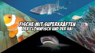 Fische mit Superkräften - Der Clownfisch und der Hai