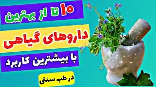 داروهای گیاهی / 10 داروی گیاهی پراستفاده در طب سنتی که حتما باید در خانه داشته باشید 