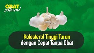 Obat Penurun Kolesterol Cepat dan Alami | Obat Alami