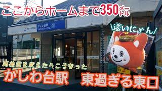 《相鉄》かしわ台駅東口　改札からホームまで日本一遠い改札口【もはや散歩】