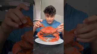 Cooking HUGE Mud Crab