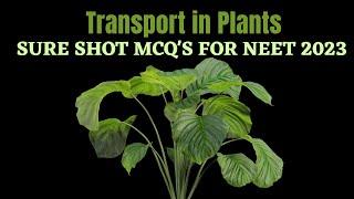 Biology SURE SHOT MCQ's for NEET 2023 || Transport in Plants || by Shiksha House