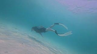 보라카이 호핑투어 프리다이빙 스노클링 스킨다이빙 boracay boracayfreedive boracayfreediving boracaydiving