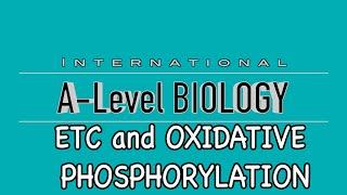 A Level Biology: Electron Transport Chain and Oxidative Phosphorylation