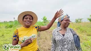 Excerpts Of Farm Land Buying In Ghana | Experience Of Our The Ghanaian Farmer Viewer From UK 