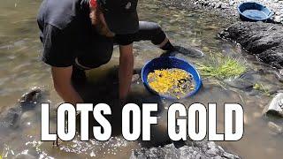 New Gold Panning Technique?!?  (it actually works)