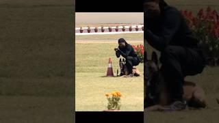 indian army dog training #shorts #army #viral #trending