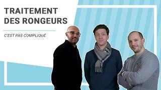 Traitement des nuisibles : les rongeurs — C'est Pas Compliqué !