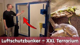 Luftschutzbunker als XXL Terrarium | Homestory Pascal | Teil 1