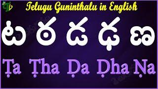 Ta Tta Da Dda Na Guninthalu in English |How to write ట ఠ డ ఢ ణ Guninthalu English |Learn #Guninthalu