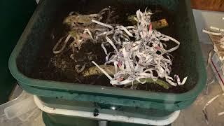 VermiHut Plus Worm Compost Review