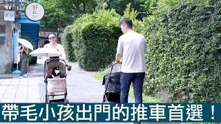 【喂喂開箱】百貨、捷運、高鐵寵物友善餐廳都適用｜高CP值時尚寵物推車 feat. Posh Paws時尚寵物推車TESORO