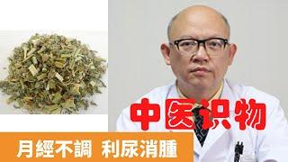 益母草的功效與作用【保健養生】生生不息