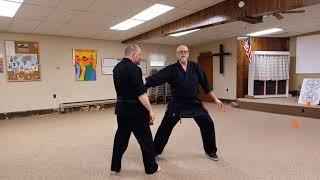 Post Modern Kenpo: Captured Twigs Review