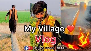 My Village Vlog | Natural Beauty | Sajjad Khoso | Rohri Sindh