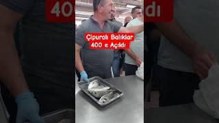 Çipuralı Balıklar #balıkmezatı #balık #mezat #fish #deniz #fishing #çipura #keşif #izmir #mavişehir