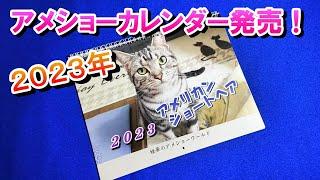 ２０２３年版　姫華のアメショーワールドカレンダー発売！（アメリカンショートヘア）