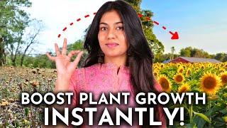 This ONE Thing Will Make Your Plants Grow Faster!