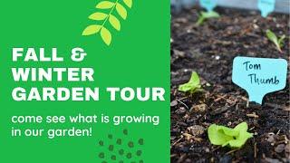 FALL & WINTER Garden Tour! Pollinator Garden, Rose Garden and Raised Beds