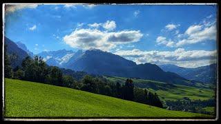 8 hours of field recording in the Mountain – soft bird songs and cowbells – sounds for stress relief