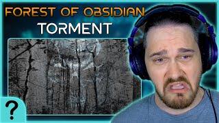 A Cynic TEARS APART Forest of Obsidian! | REACTION TO TORMENT