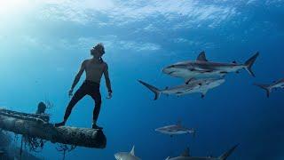 Sharks & Shipwrecks | Freediving The Bahamas