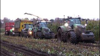 Maïs 2024 | Modderen | 3 tractors en hakselaar nodig om een wagen eruit te krijgen | Schlammschlacht