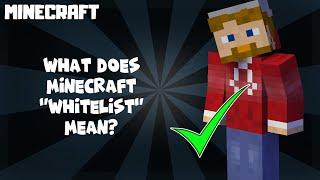 Minecraft | What Does WHITELIST Mean? 1.18.1