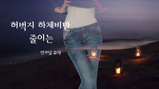 하체살 하체비만 허벅지 줄여주는 내분비계 및 호르몬 정상화