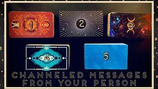 Channeled Messages From Your Person ️‍🩹 Pick A Card Tarot Love Reading #tarot #tarotreading