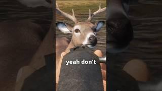 He just stood there and TOOK IT  | theHunter: Call of the Wild