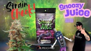 SNOOZY JUICE Auto - Strain Review – Geschmack, Wirkung & Anbau-Tipps  INFLUENCER by @Alphasmog420