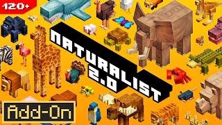 NATURALIST 2.0 ADDON brings 120+ Animals to Minecraft Survival [Full Showcase]