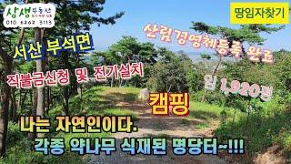 [땅임자찾기-2290]산중턱에 위치한 명당터 나는 자연인이다 서산임야매매