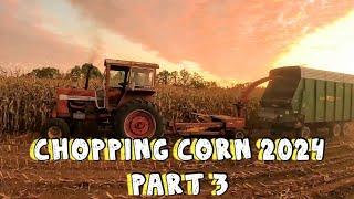 Chopping Corn on our Small Dairy Farm 2024/Part 3