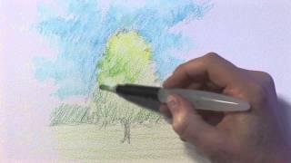 Sketching a Tree with Watercolour Pencils - with Artist Jonathan Newey